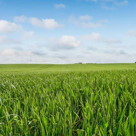 Awesome In With Kitchen Ferienhaus